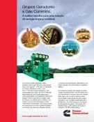 Download de catálogo